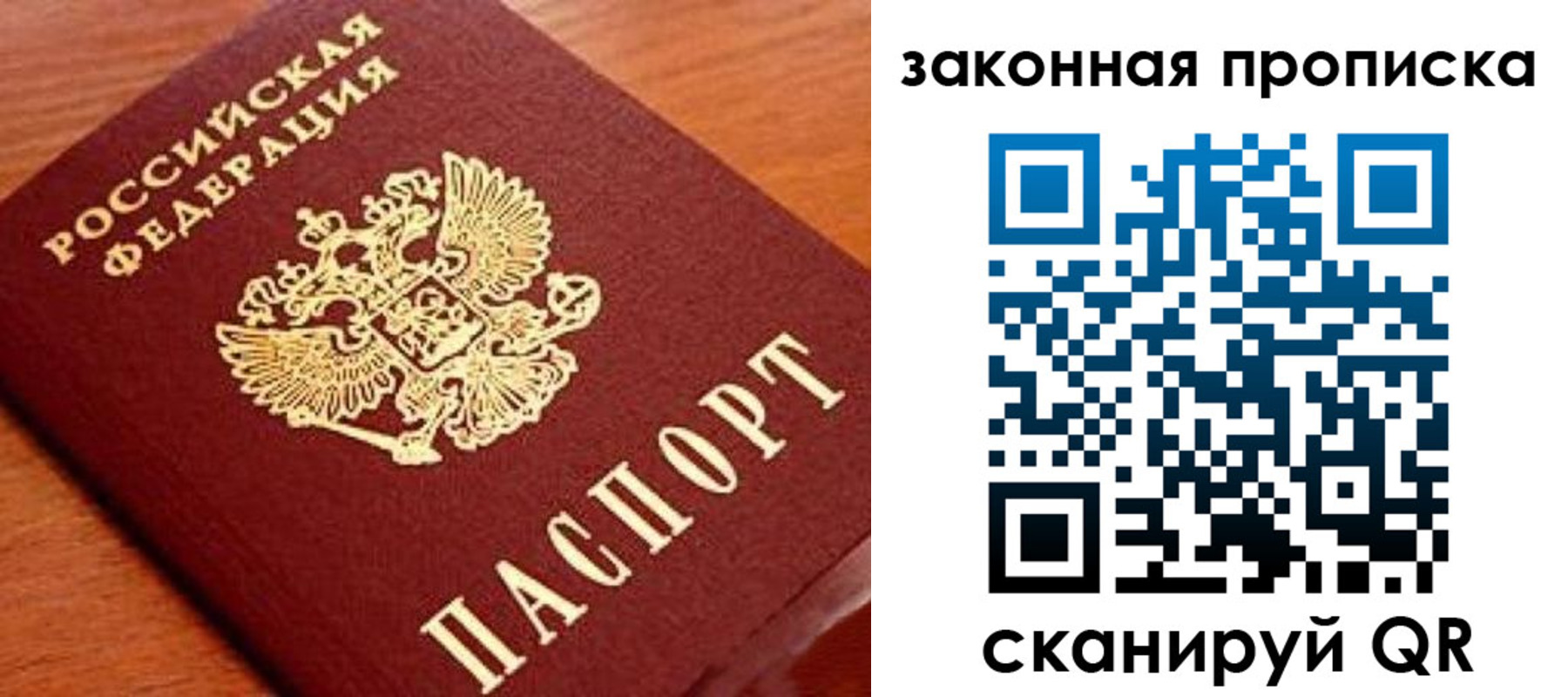 прописка в Ермолино